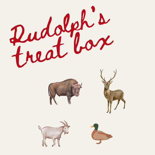 Rudolph's Treat box